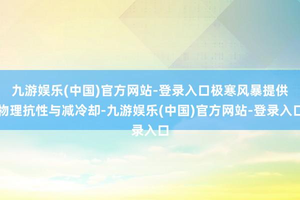 九游娱乐(中国)官方网站-登录入口极寒风暴提供物理抗性与减冷却-九游娱乐(中国)官方网站-登录入口