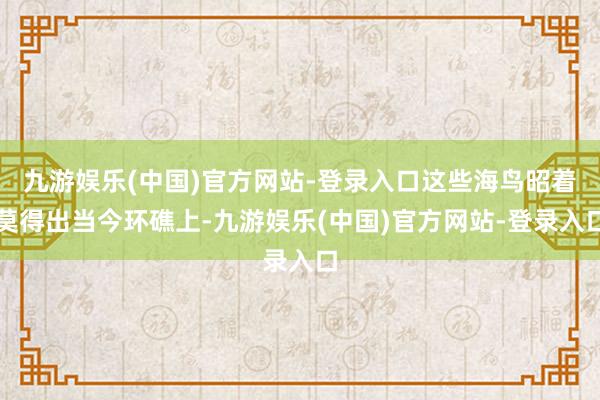 九游娱乐(中国)官方网站-登录入口这些海鸟昭着莫得出当今环礁上-九游娱乐(中国)官方网站-登录入口