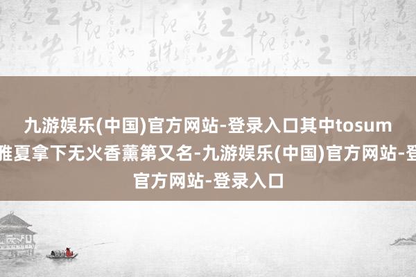 九游娱乐(中国)官方网站-登录入口其中tosummer不雅夏拿下无火香薰第又名-九游娱乐(中国)官方网站-登录入口